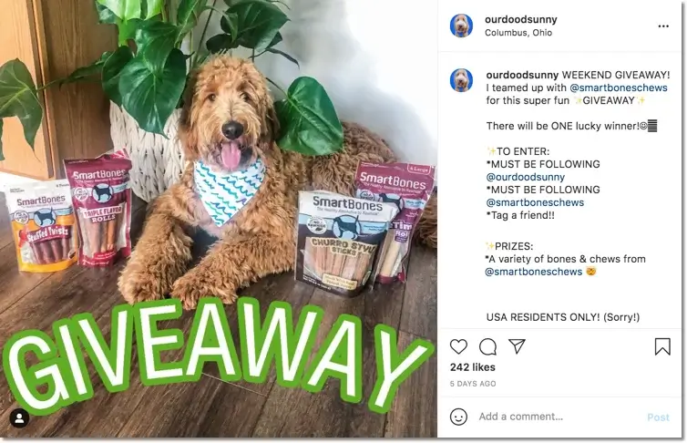 dog day instagram giveaway organized by a popular influencer