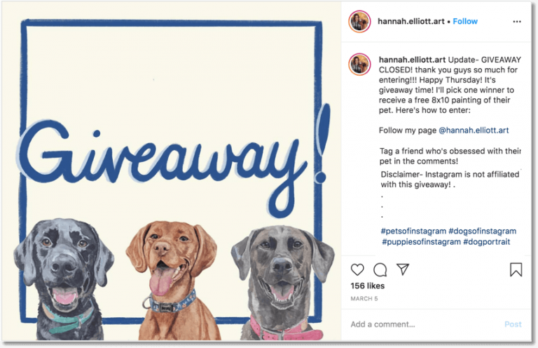 Instagram pet giveaway organized by a portrait painter