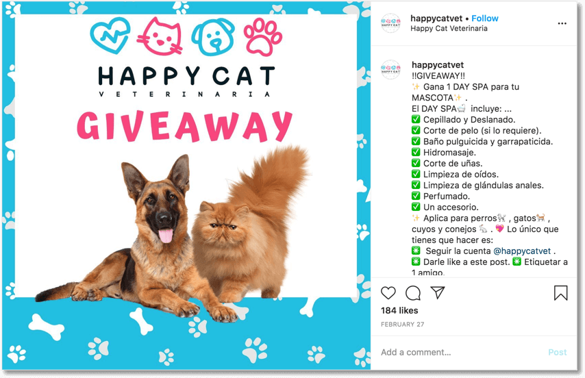 Pet giveaway organized on Instagram by a veterinary clinic