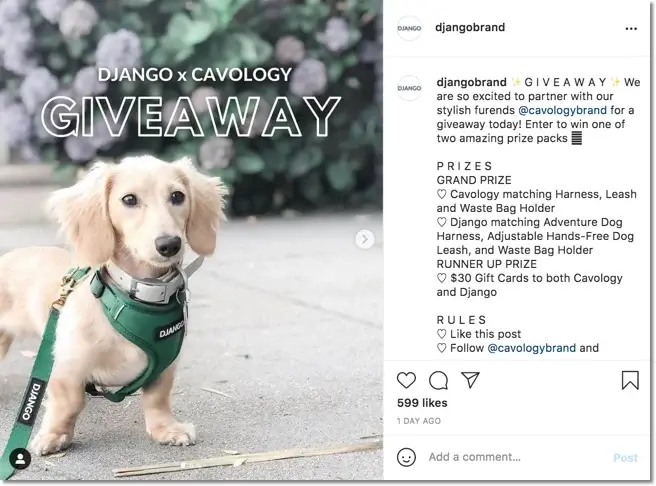 dog day giveaway example for instagram