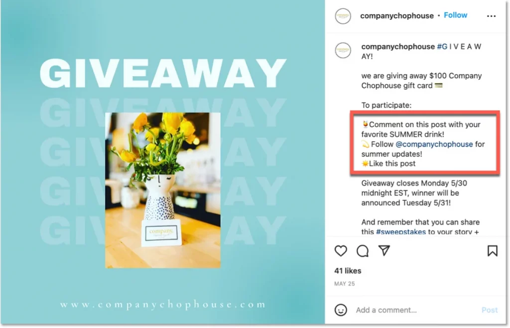How to Use Instagram Giveaways to Grow Your Following
