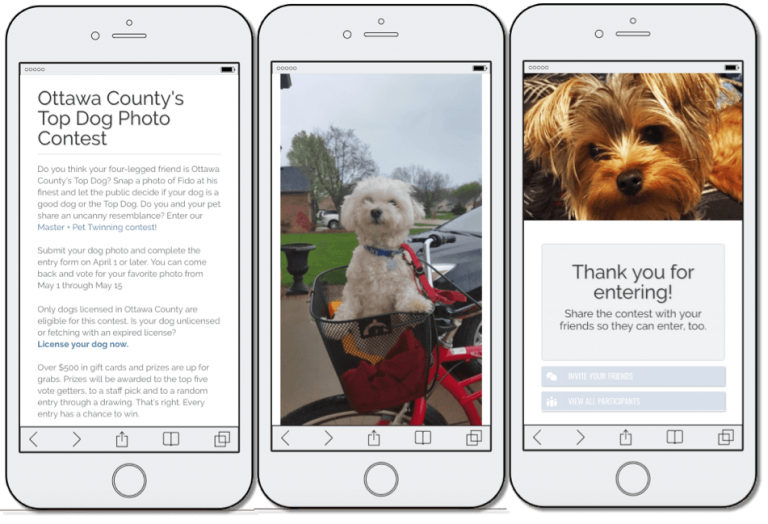 3 mobile screenshots from the Ottawa County World Animal Day promotion. The first screen announces their Top Dog photo contest. The second screen shows an example of a competition entry: a small white poodle in the front basket of a red bike. The final screen thanks users for entering