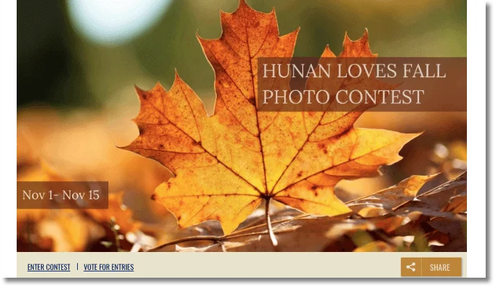 fall promotion idea: autumn photo contest