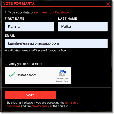 voting system in the video contest