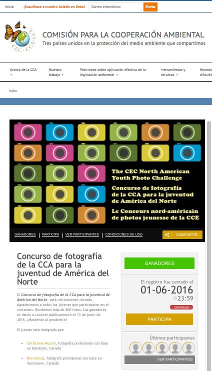 CCA_Concurso_en_web