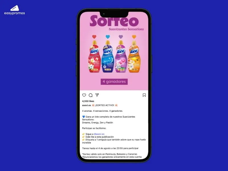 Organiza los aspectos esenciales del sorteo