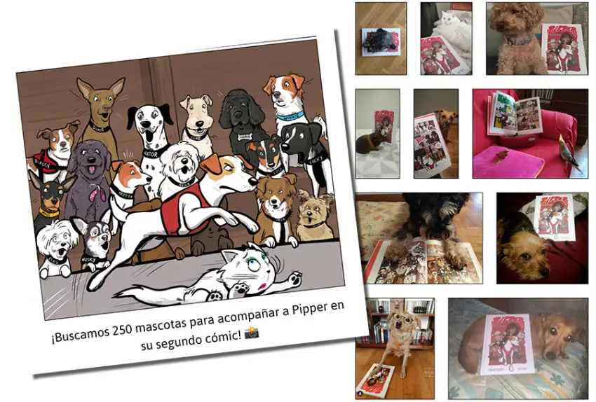 concurso de mascotas online de Pipper on tour