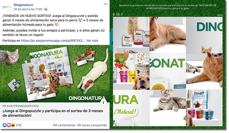 Digonatura social media in quarantine