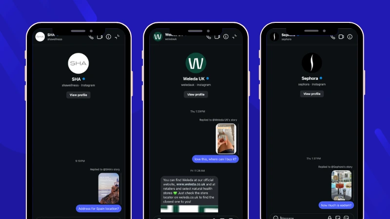 Instagram DMs for business inbox showing example inquiries from users.