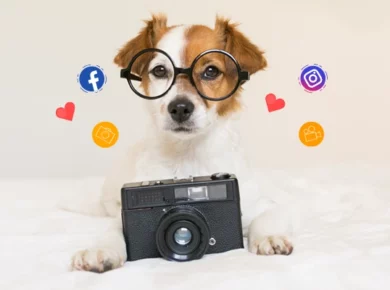 Online Pet Contest Ideas