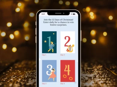 12 Days of Christmas Giveaway Ideas