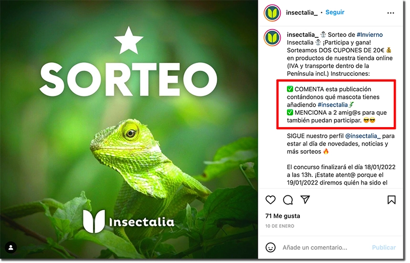 ejemplo de sorteo en Instagram de Insectalia