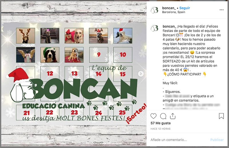 ejemplo de sorteo en instagram del sector mascotas