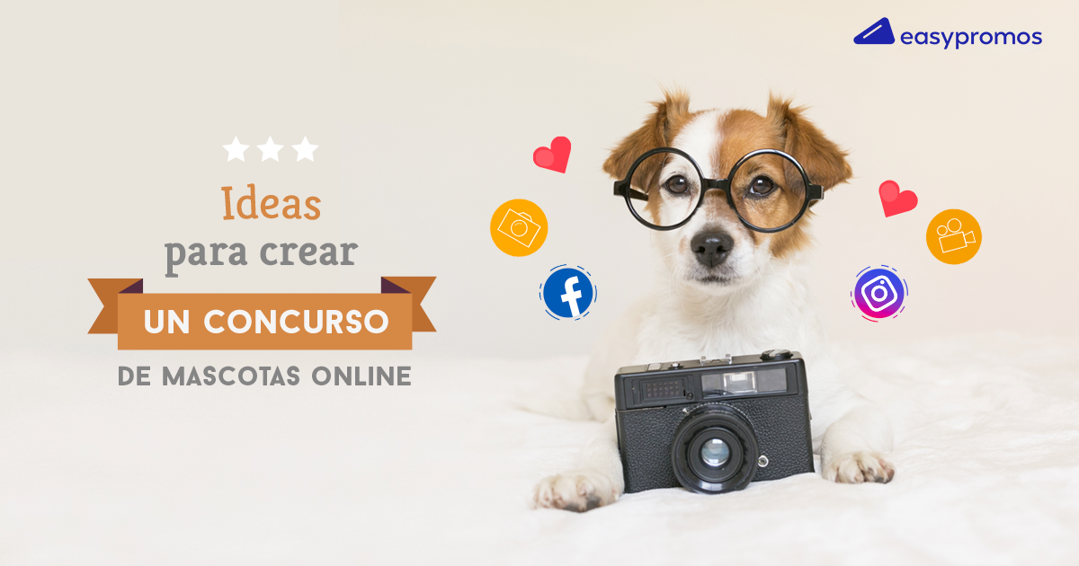 Pet Shop Online: Cómo tener un Pet Shop Online exitoso y ejemplos Reales de  Éxito