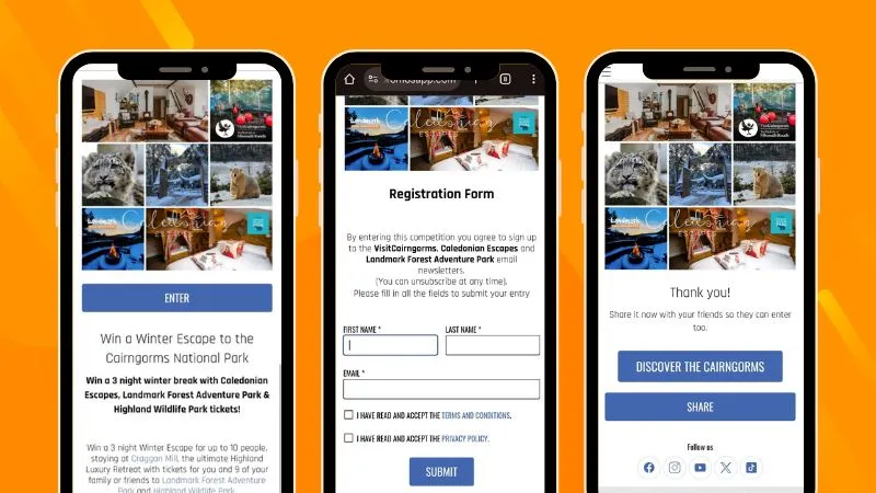 winter promotional giveaway example