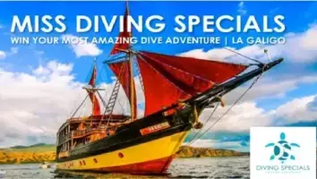 Caso de éxito de un concurso de fotos sobre buceo: Miss Diving Specials
