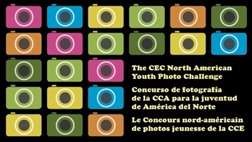 Un concurso de fotos multi-idioma ayudó a llegar a jóvenes de toda Norteamérica
