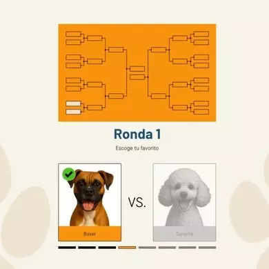 Torneo de votaciones
