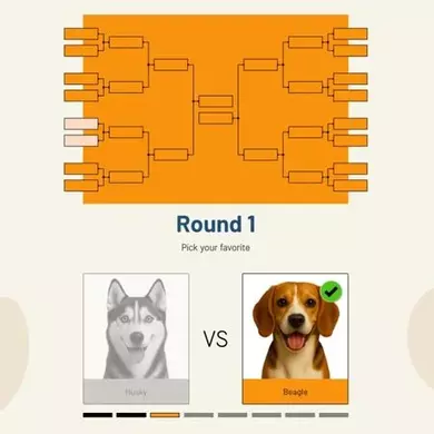 Voting Bracket
