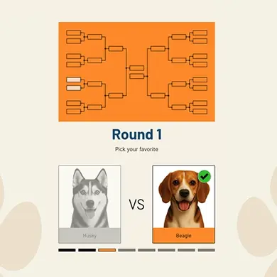Voting Bracket